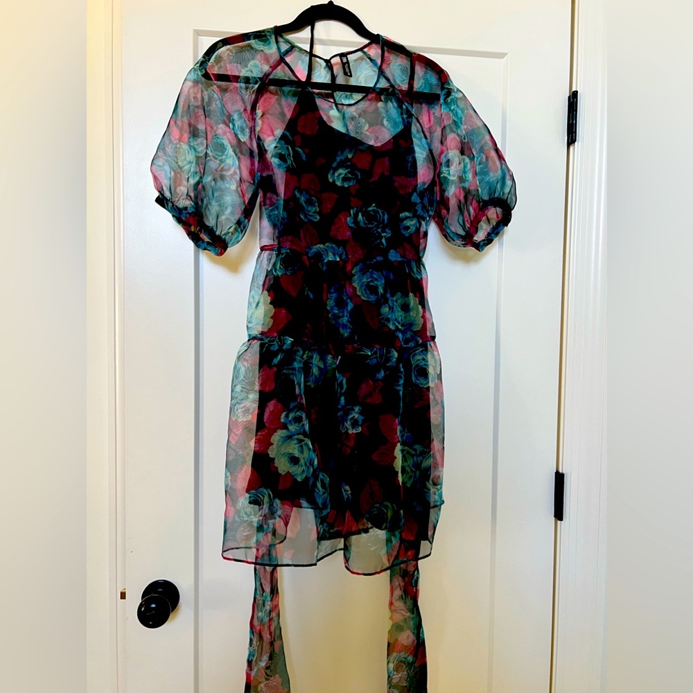 Darling Zara dress worn for a photo shoot one time